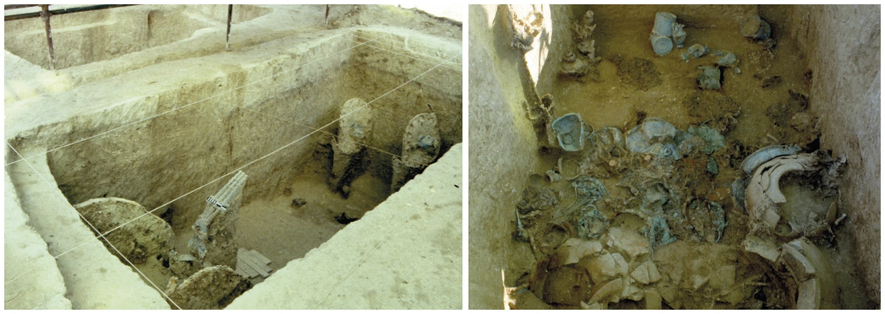 Clini et al. 2024, fig. 2 - thumbnail