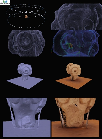 Bursich 2024, fig. 2 - thumbnail