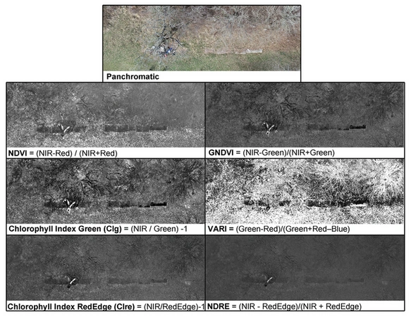Ebanista 2024, fig. 4 - thumbnail