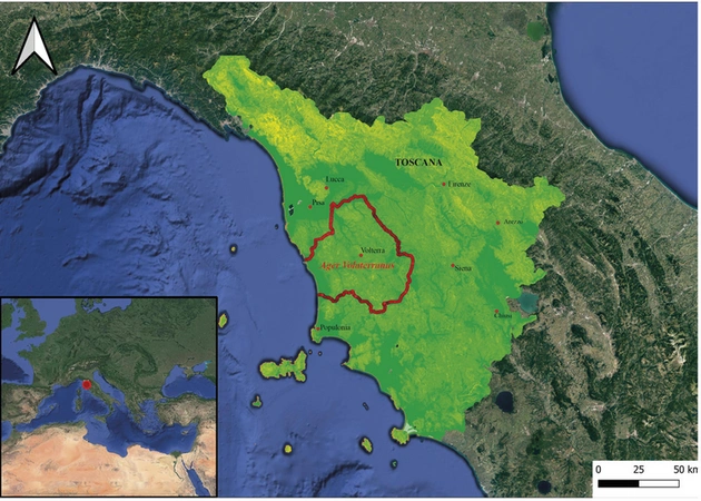 Limina 2024, fig. 2 - thumbnail