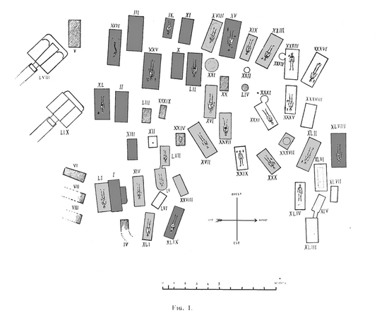 Sagripanti 2025, fig. 1 - thumbnail