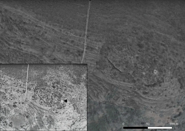 Vanni et al. 2025, fig. 7 - thumbnail