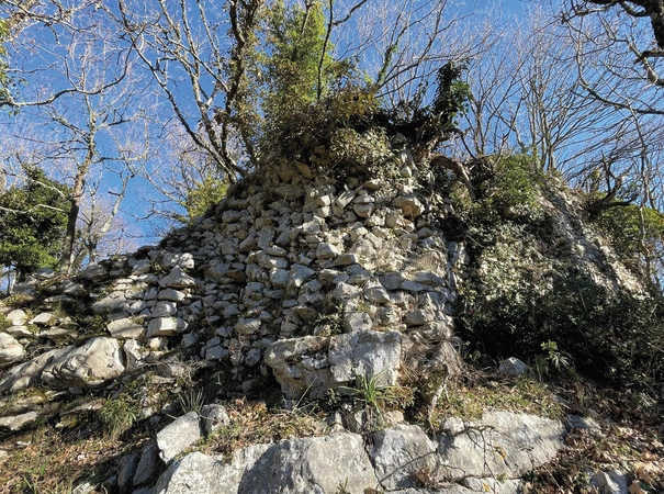 Vanni et al. 2025, fig. 10 - thumbnail