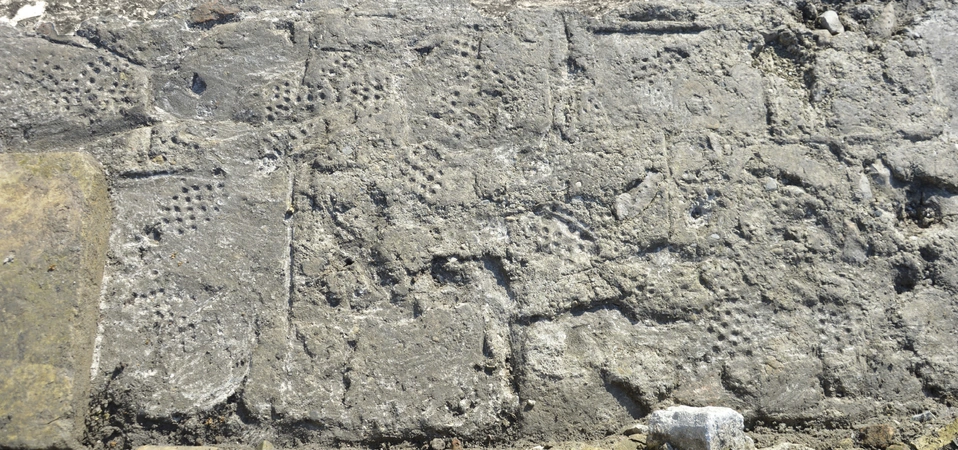 Ghiotto, Cuzzolin, Faresin 2025, fig. 4 - thumbnail