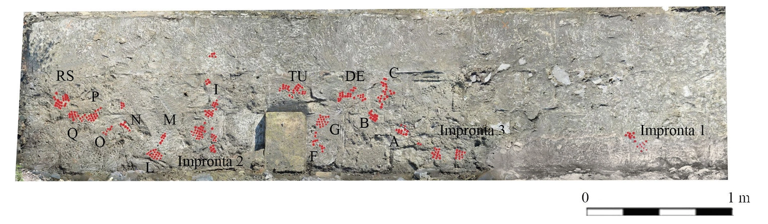 Ghiotto, Cuzzolin, Faresin 2025, fig. 5 - thumbnail