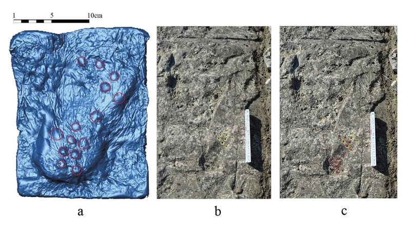 Ghiotto, Cuzzolin, Faresin 2025, fig. 6 - thumbnail