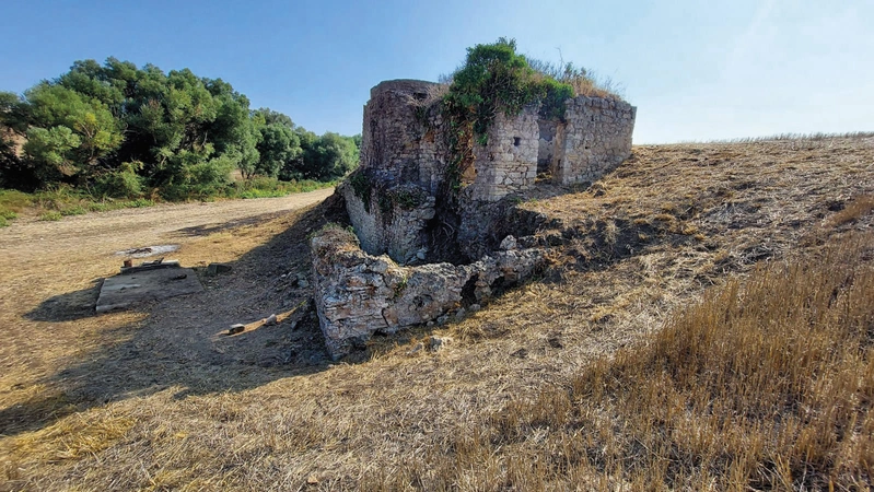 Mutino et al. 2025, fig. 10 - thumbnail