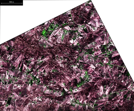 Di Palma, Merola 2025, fig. 2 - thumbnail