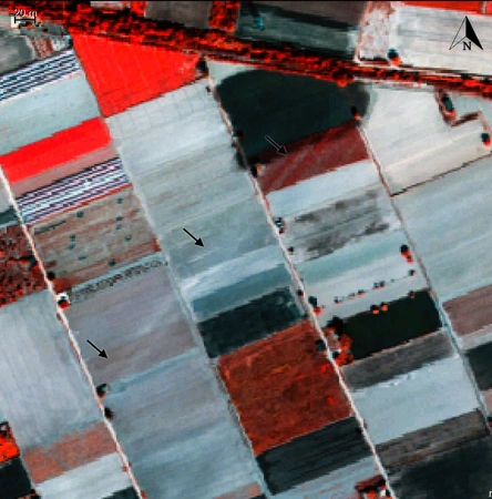 Di Palma, Merola 2025, fig. 5 - thumbnail