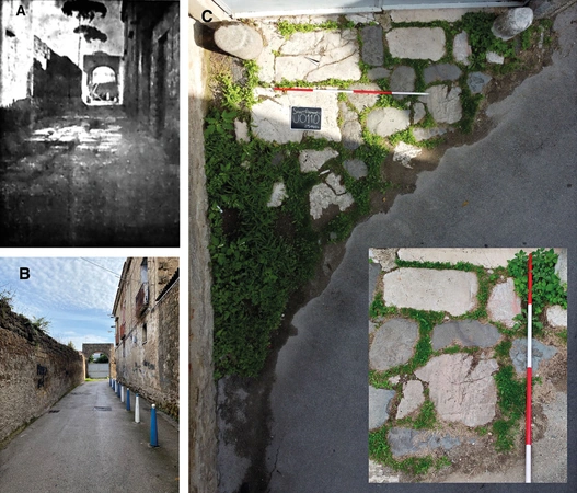 Brancato et al. 2025, fig. 5 - thumbnail