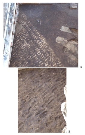 Boenzi 2025, fig. 3 - thumbnail