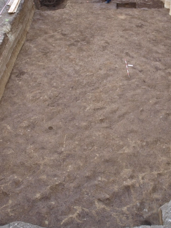 Boenzi 2025, fig. 4 - thumbnail