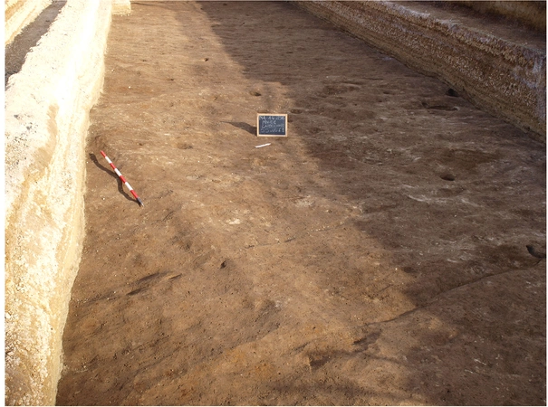 Boenzi 2025, fig. 6 - thumbnail