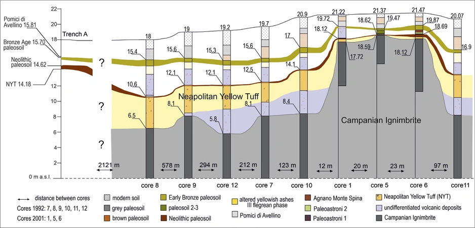Brancato, Tosolini, Russo Ermolli 2025, fig. 3 - thumbnail