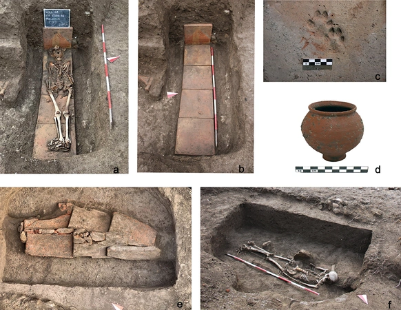 De Simone et al. 2025, fig. 6 - thumbnail