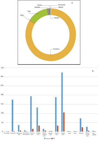 Tescione 2025, fig. 1 - thumbnail
