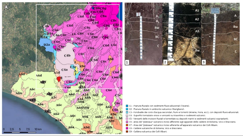  Pacciarelli et al. 2025, fig. 2 - thumbnail