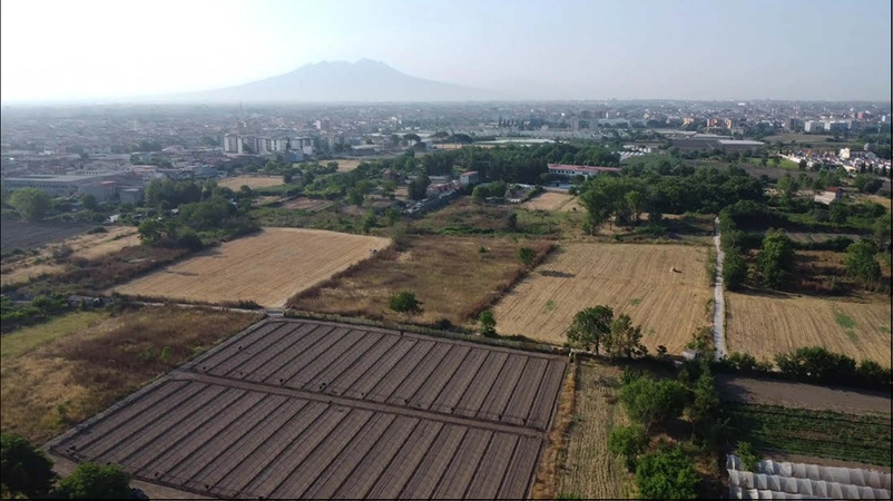 Pacciarelli et al. 2025, fig. 4 - thumbnail