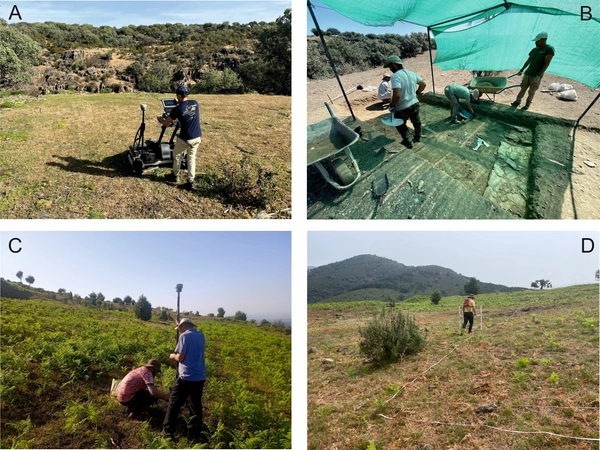 De Nisi et al. 2025, fig. 5 - thumbnail