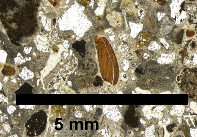 Razzante 2025, fig. 1 - thumbnail