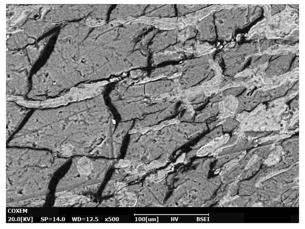 Razzante 2025, fig. 2 - thumbnail