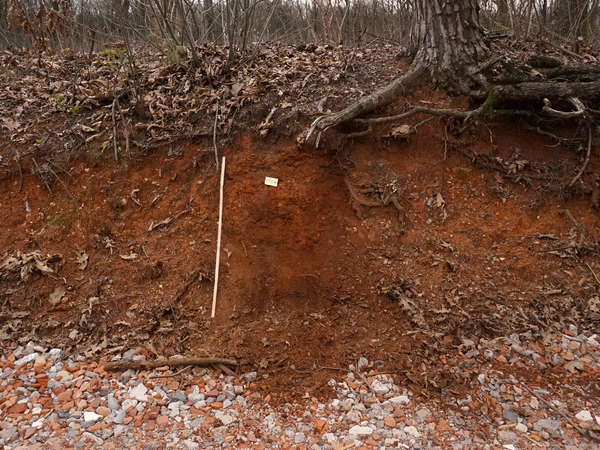 Razzante 2025, fig. 3 - thumbnail