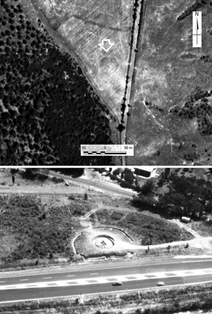 Pescari, Pocobelli 2026, fig. 7 - thumbnail