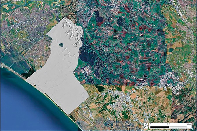 Cirigliano et al. 2026, fig. 2 - thumbnail