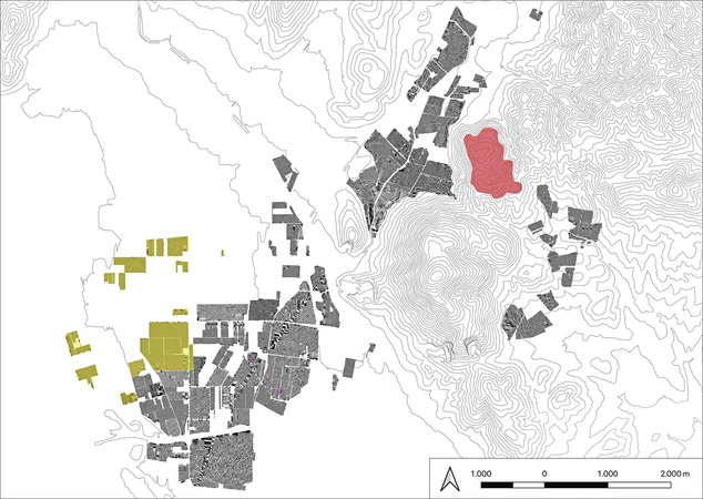 Cirigliano et al. 2026, fig. 1 - thumbnail
