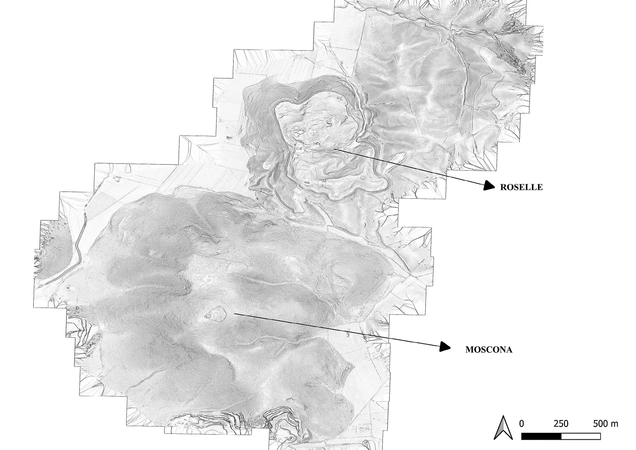 Cirigliano et al. 2026, fig. 2 - thumbnail