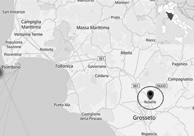 Piro 2026, fig. 1 - thumbnail