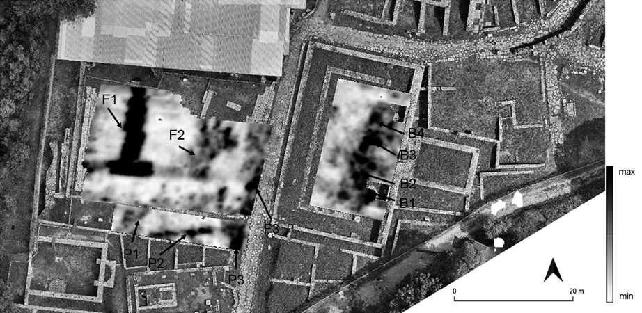 Piro 2026, fig. 3 - thumbnail