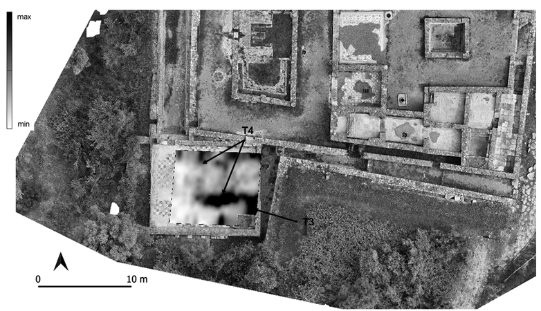 Piro 2026, fig. 12 - thumbnail