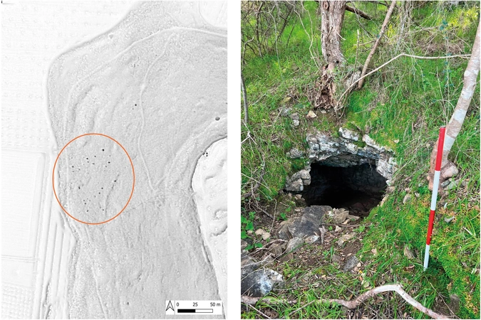 Susini et al. 2026, fig. 6 - thumbnail
