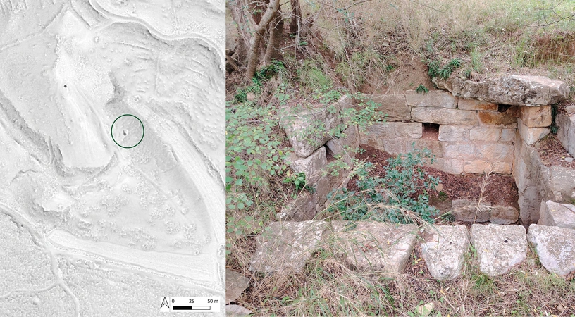 Susini et al. 2026, fig. 7 - thumbnail