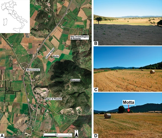Mercuri et al. 2026, fig. 2 - thumbnail