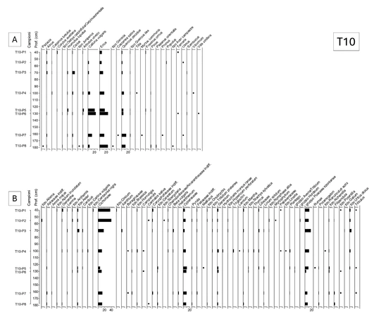 Mercuri et al. 2026, fig. 7 - thumbnail