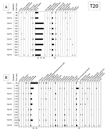  Mercuri et al. 2026, fig. 9 - thumbnail