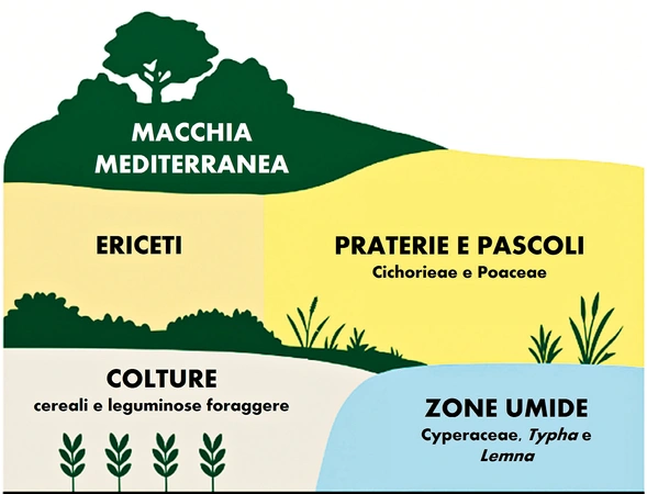 Mercuri et al. 2026, fig. 12 - thumbnail