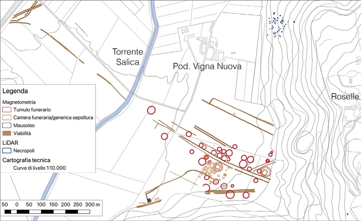Campana, Liverani 2026, fig. 2 - thumbnail