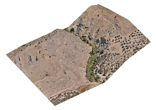 Jaia, Ebanista 2026, fig. 3 - thumbnail