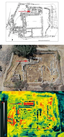 Jaia, Ebanista 2026, fig. 6 - thumbnail