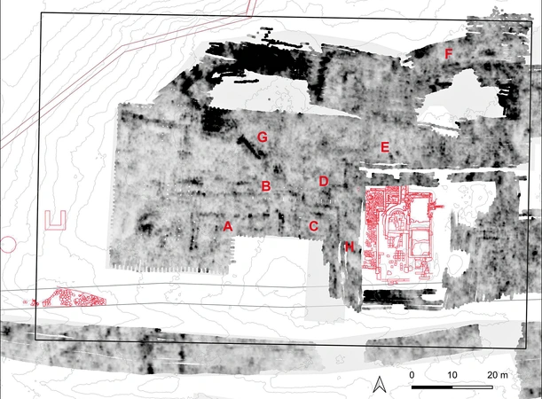  García Sánchez, Pizzo 2026, fig. 6 - thumbnail