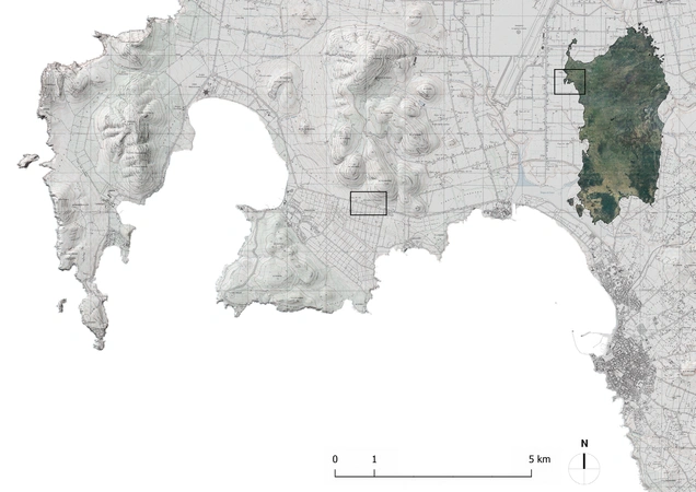 Busonera et al. 2026, fig. 1 - thumbnail