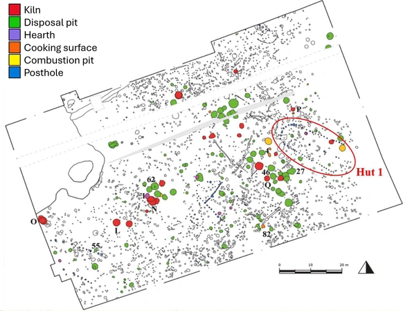 Malinconico et al. 2026, fig. 1 - thumbnail