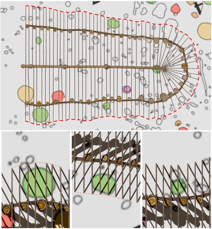 Malinconico et al. 2026, fig. 6 - thumbnail