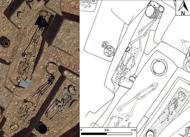 Zampieri 2021, fig. 3 - thumbnail