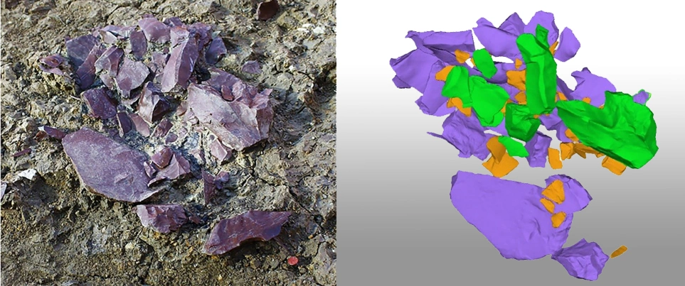 Delpiano 2021, fig. 1 - thumbnail