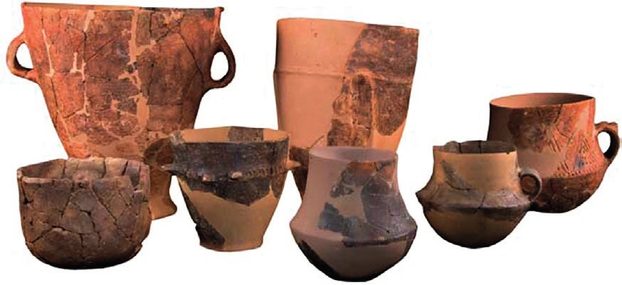 Tavella et al. 2021, fig.1 - thumbnail