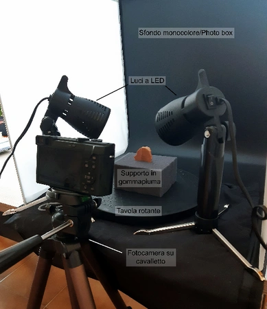 Delpiano 2021, fig. 2 - thumbnail